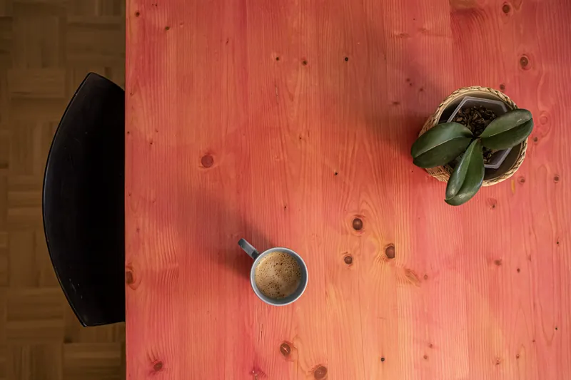 A coffee cup and a plant on the pink table, seen from above
